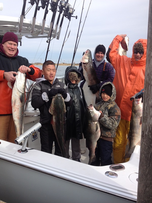 Striped Bass Charters