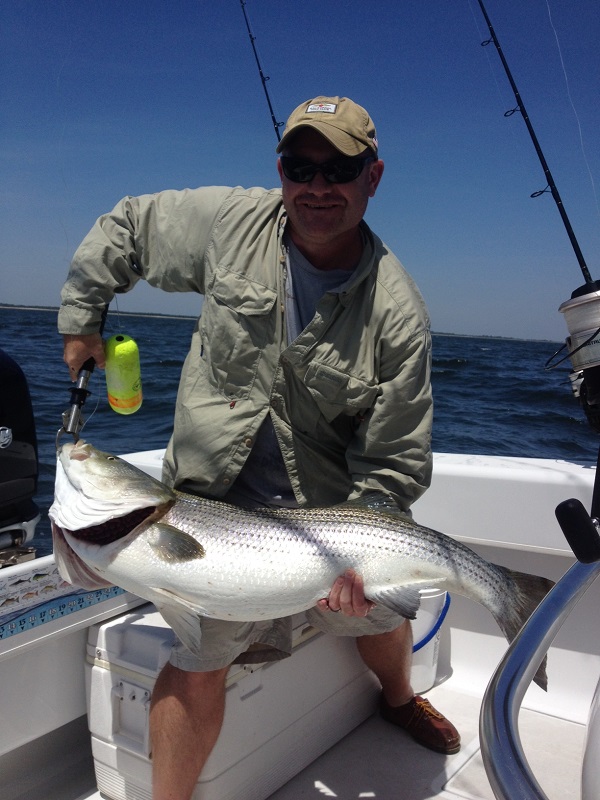 Trophy Striped Bass