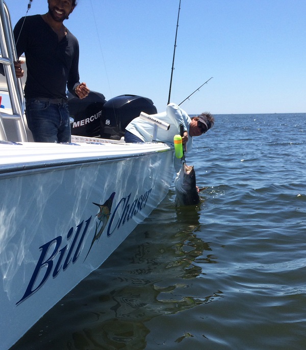 Striped Bass Fishing Charter