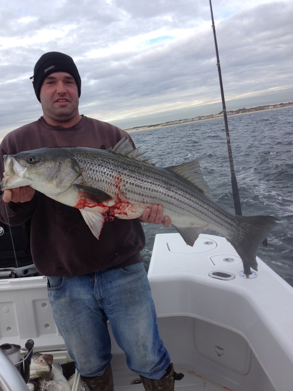 Striped Bass Charter