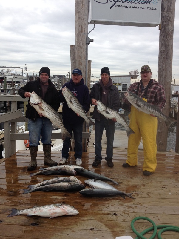 Striped Bass Fishing Trip