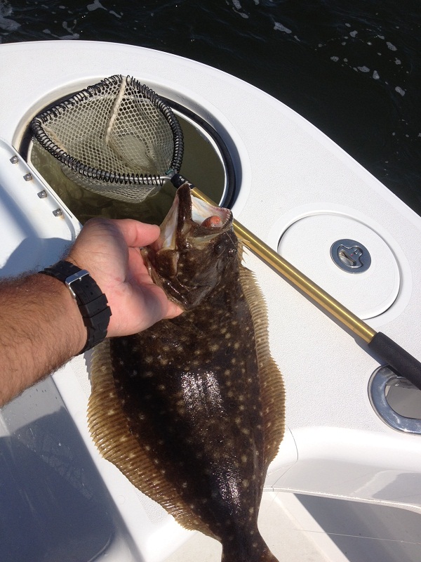 Fluke Fishing