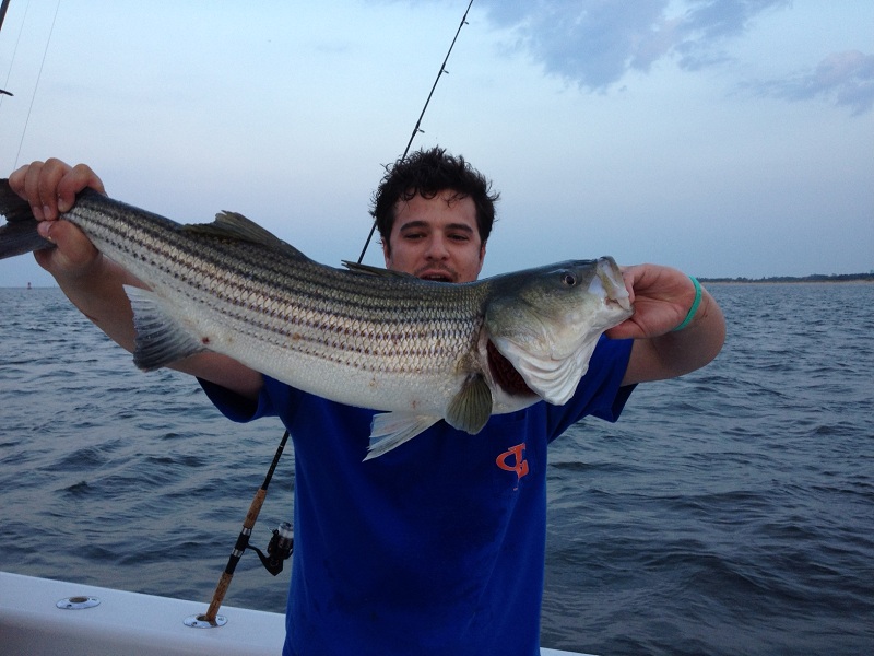 Striper Fishing