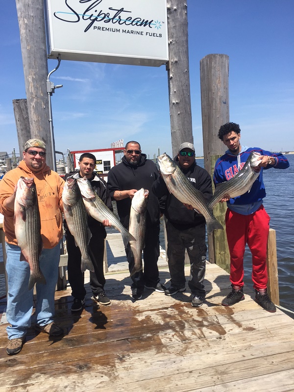 Striped Bass Fishing Charter