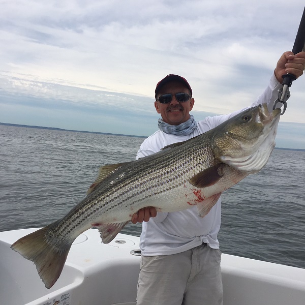 Striped Bass Fishing Trip