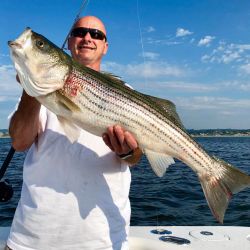 sandyhook fishing 26 20200613