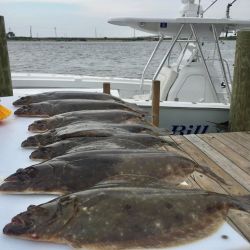 sandyhook fishing 34 20200613