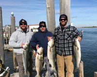 sandyhook fishing 47 20200613