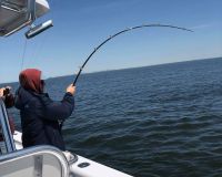 sandyhook fishing 5 20200613