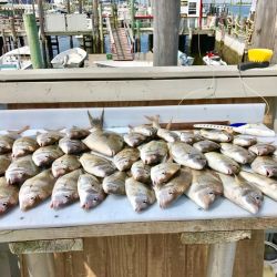 sandyhook fishing 78 20200613