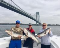 sandyhook fishing 79 20200613