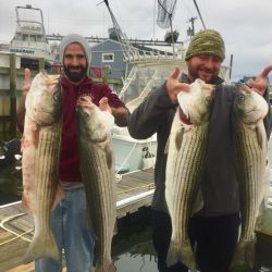 sandyhook fishing 82 20200613