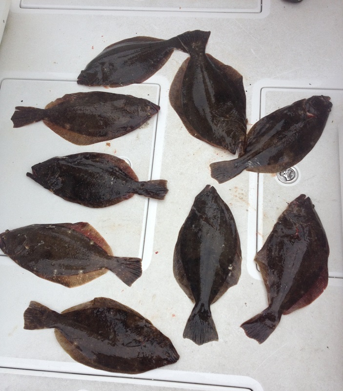 Fluke Fishing Highlands New Jersey
