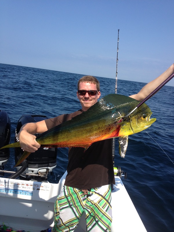 Dolphin Fishing Trip