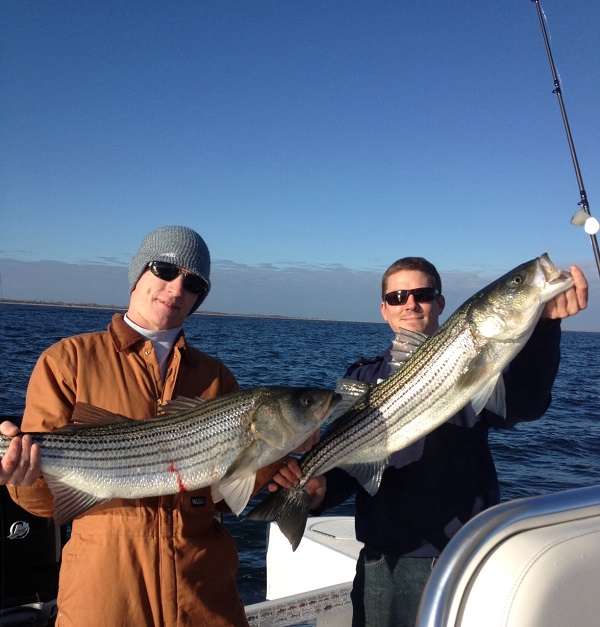 Striped Bass Fishing
