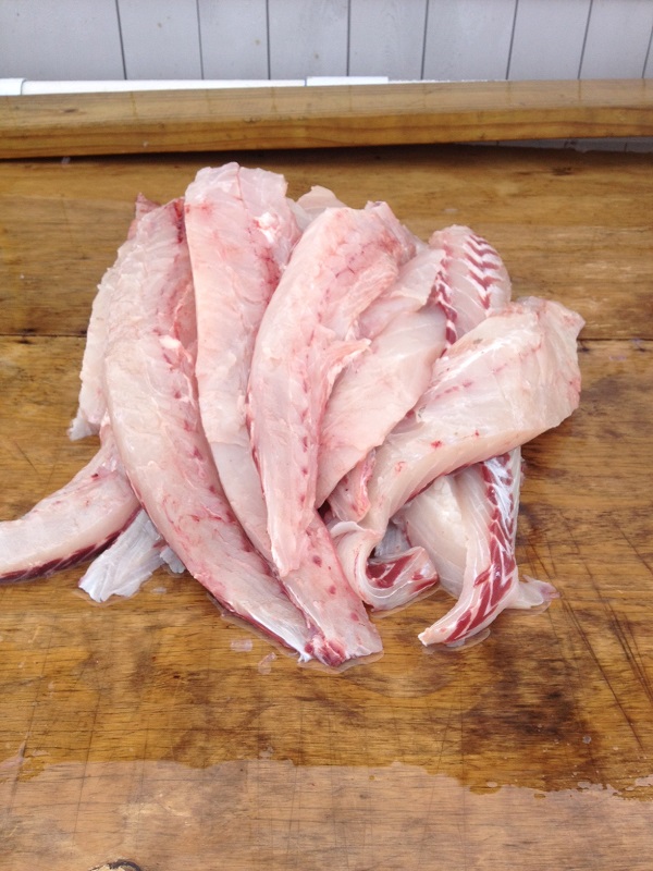 Fresh Striped Bass Filets