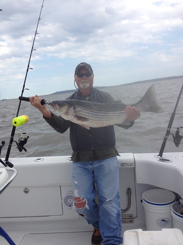 Striped Bass Fishing Charters Sandy Hook New Jersey Bill Chaser Sandy Hook Fishing Charters