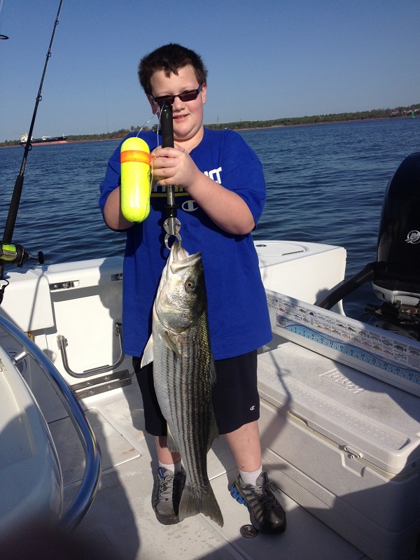 First Striped Bass