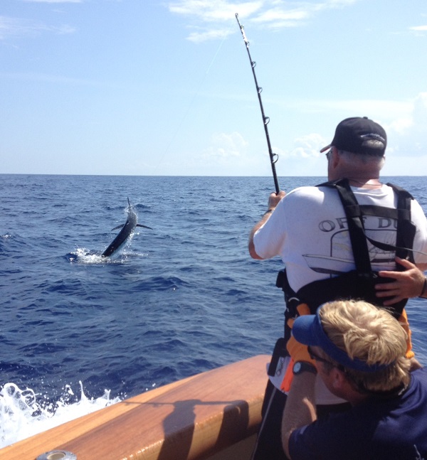 Blue Marlin Fishing