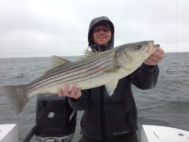 Striped Bass Fishing 