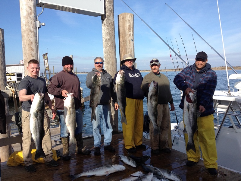 Striper Fishing Charter