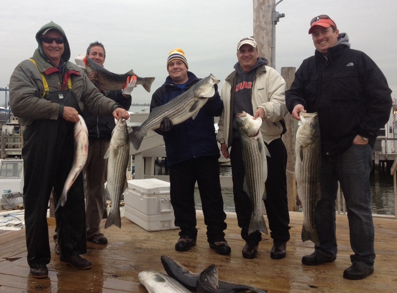 Striped Bass Fishing Charter