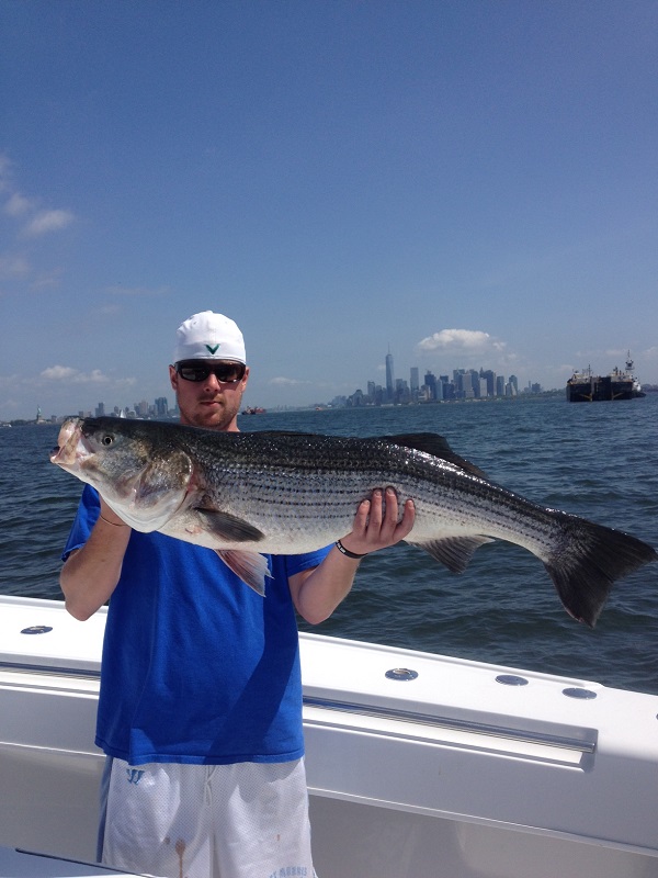 New York City Striper Charter