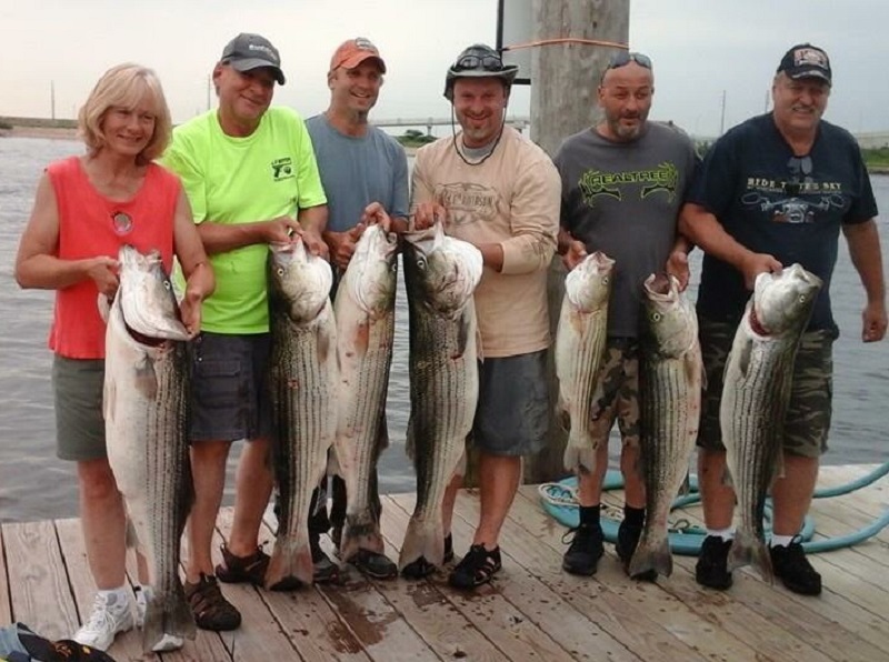 Sandy Hook NJ. Striped Bass Charter