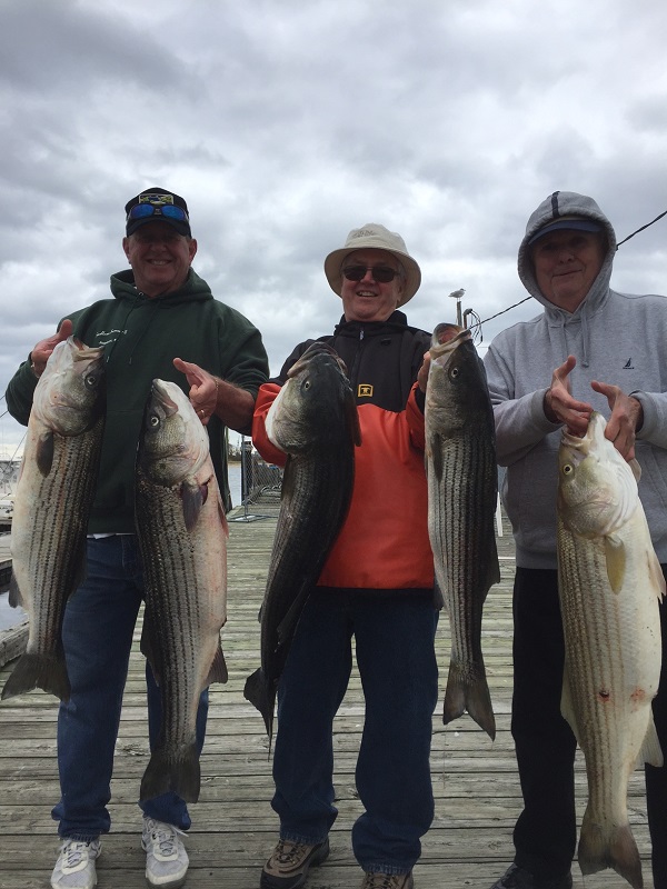 Striped Bass Charter 