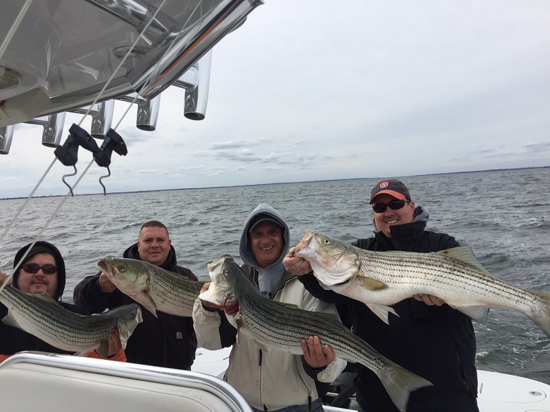 Striped Bass Fishing Sandy Hook NJ.