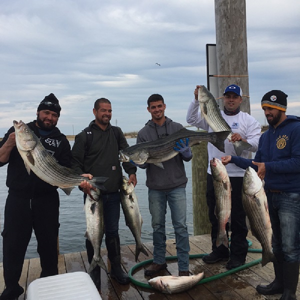 Striped Bass Fishing Charter