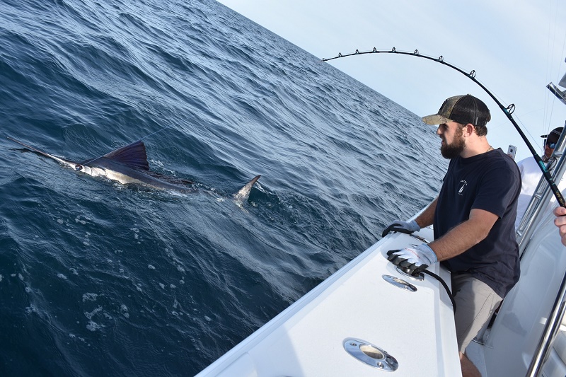 Sailfish Charters Stuart FL.