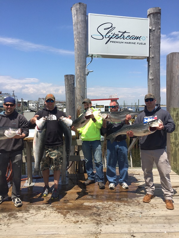 Striped Bass Fishing Charter