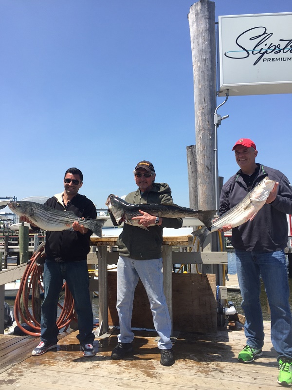 Striped Bass Fishing Charter