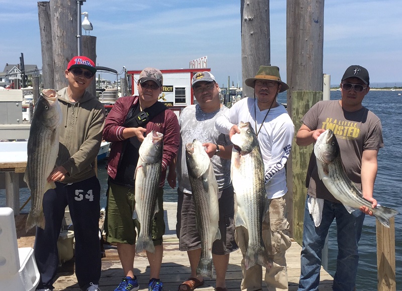 Striped Bass Charter