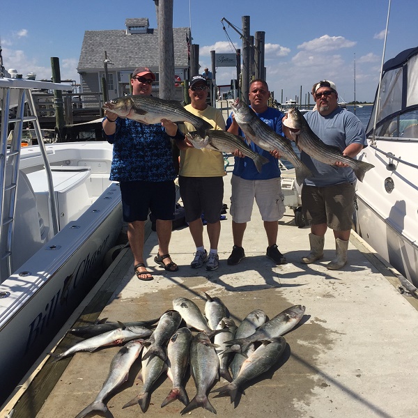 Striped Bass Bluefish Trip
