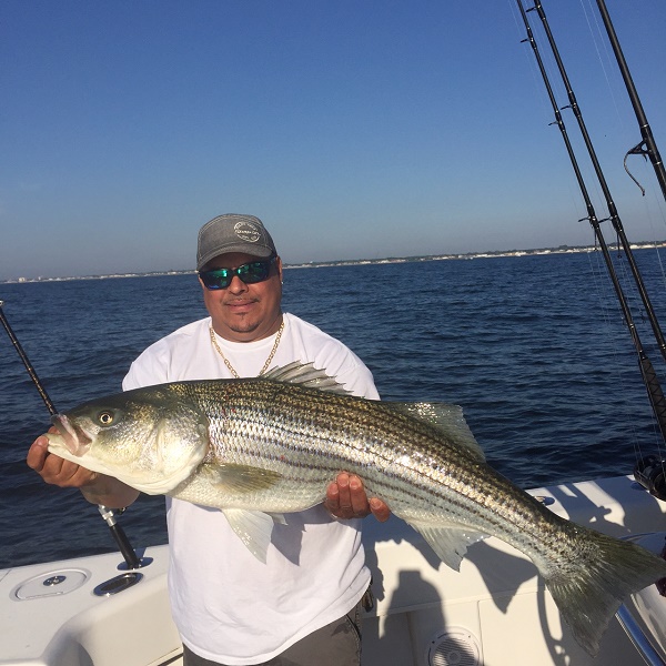 Striped Bass Fishing Trip