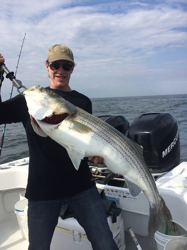Striped Bass Charter