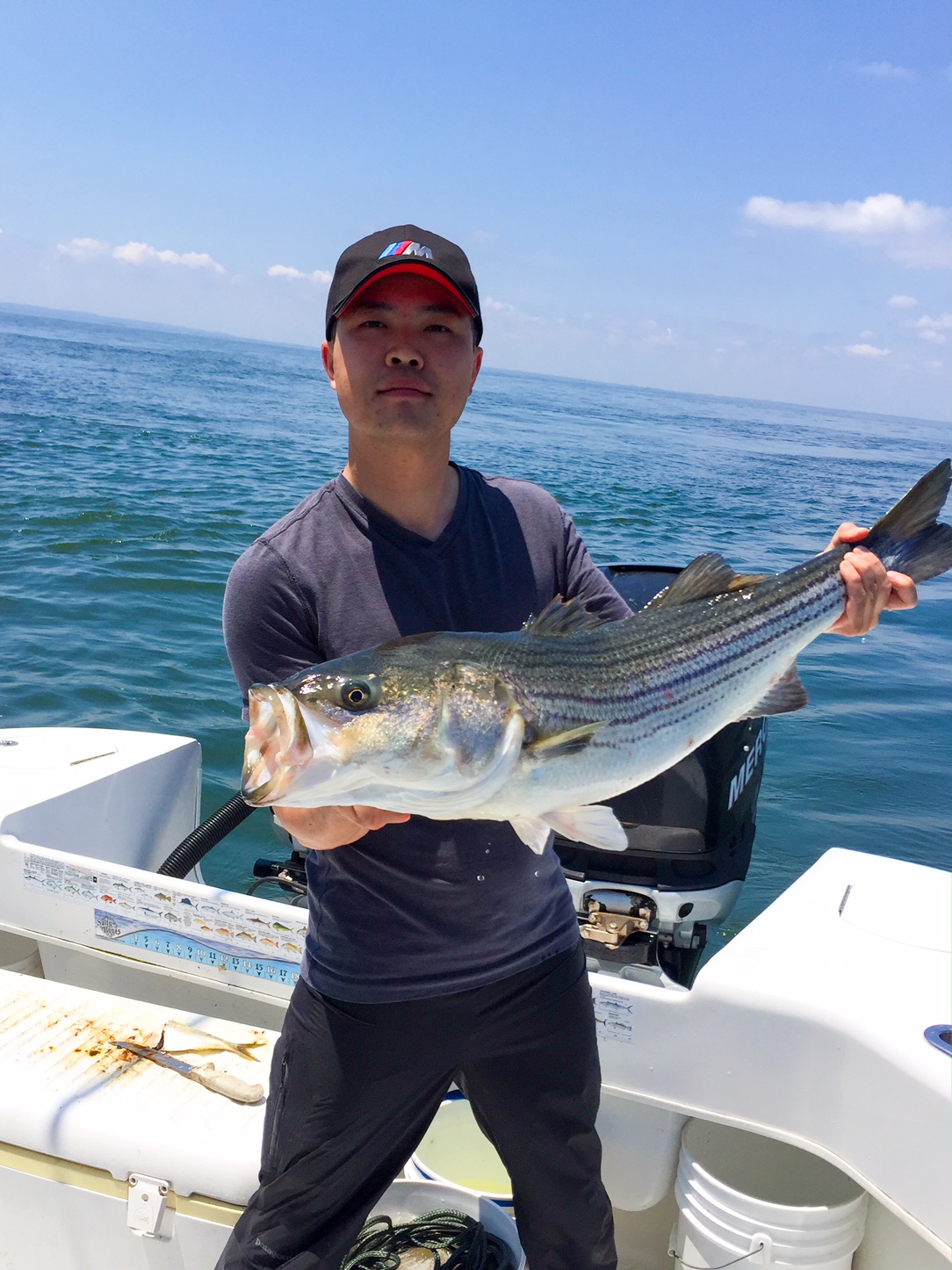 Striped Bass fishing Trip
