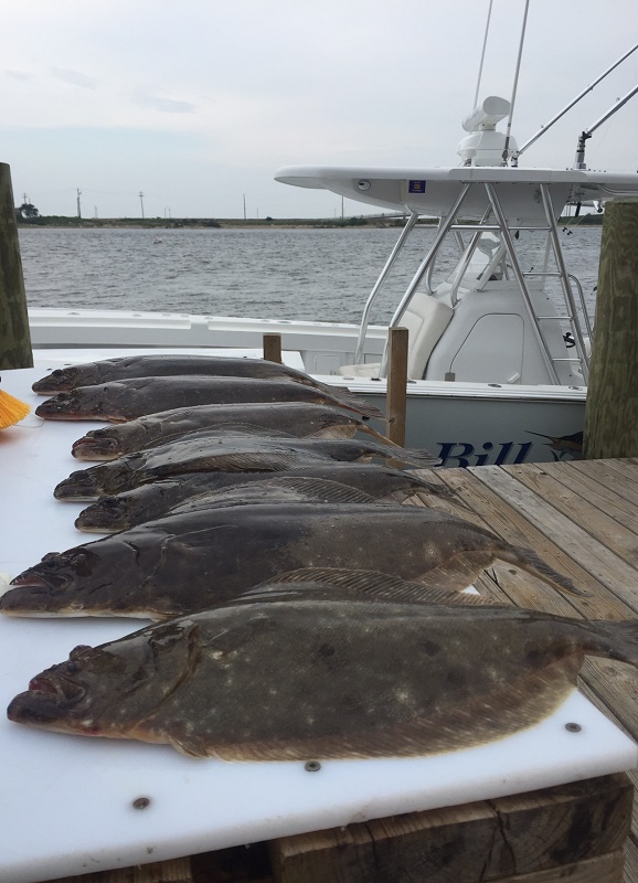 Fluke Fishing Trip