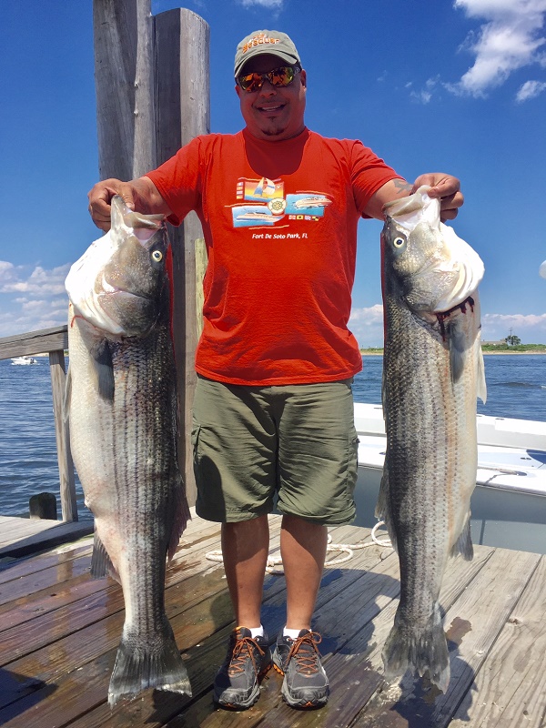 Striped Bass Fishing Charter