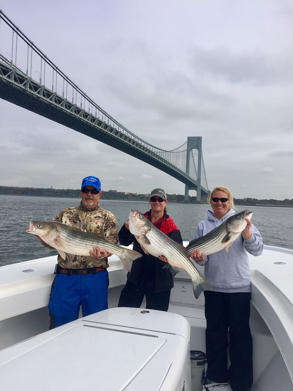 Striped Bass Fishing 