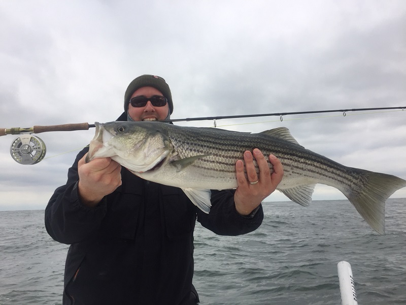 Striped Bass Fishing Trip