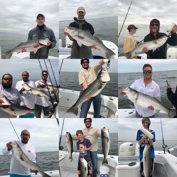 Sandy Hook, NJ. Striper Fishing