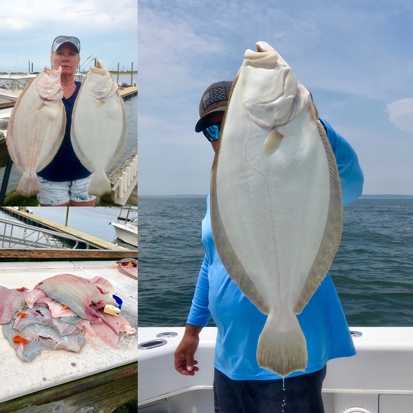 Fluke Fishing