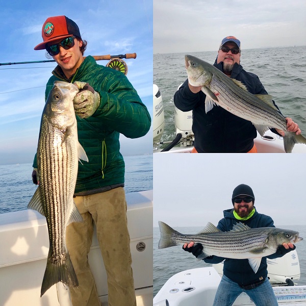 Striped Bass Fishing