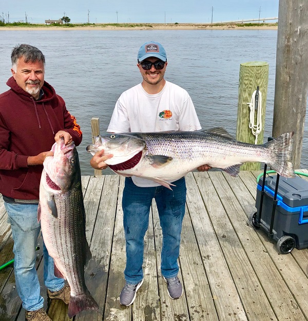 Striped Bass Fishing Charter