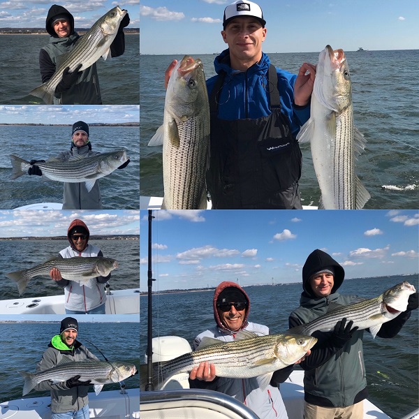 Striped Bass Fishing