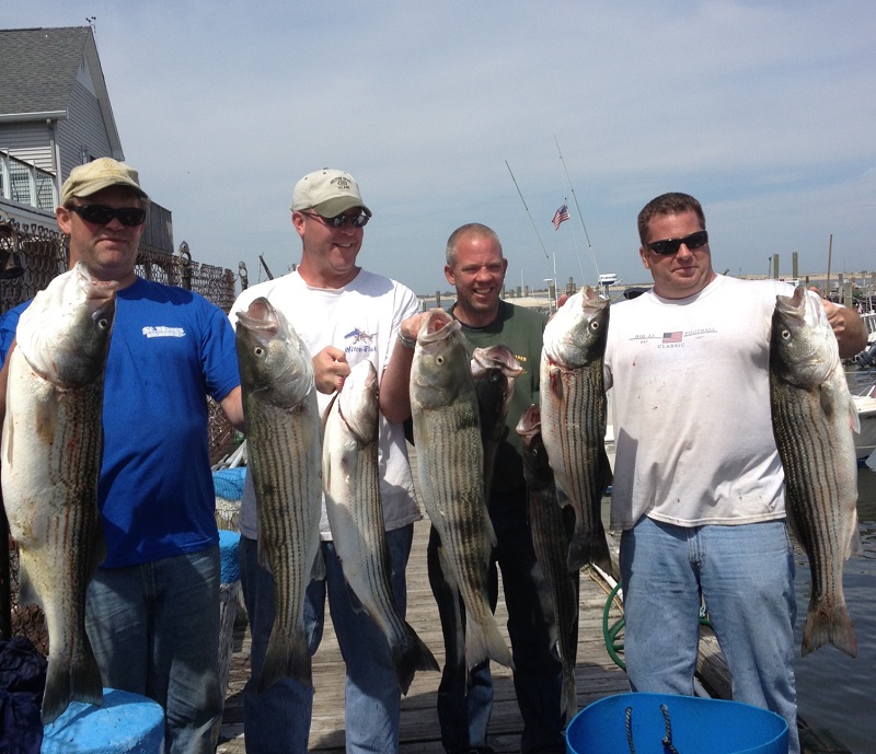 Striped Bass Fishing Charter