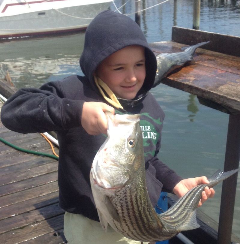 Chris's first Striped Bass